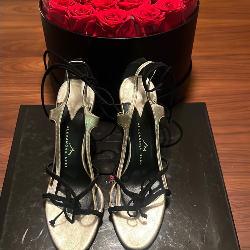 Alexandra Neel Gold and Black Heels with Elegant Straps
